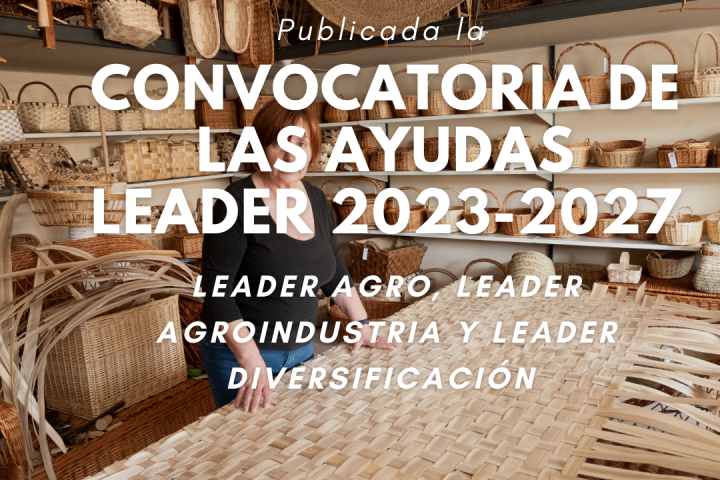 leader diversificacion