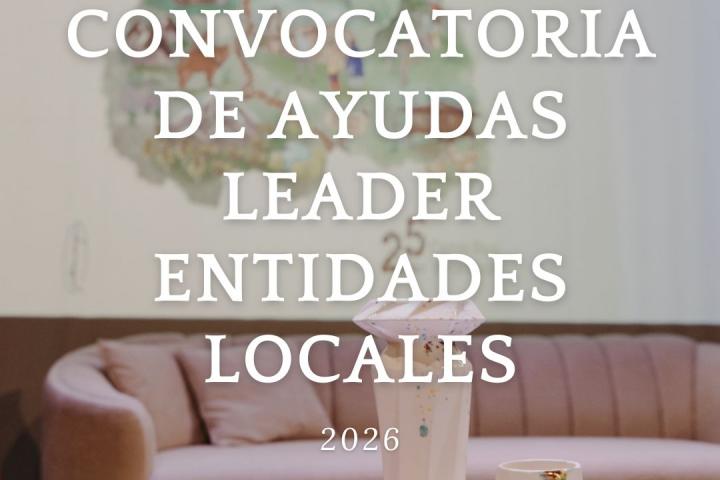 ayudas entidades locales 
